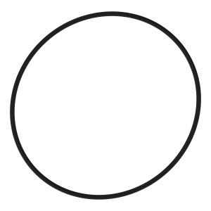 O-Ring