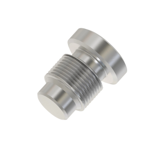 Fitting Plug