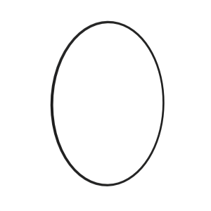 N319675: O-Ring
