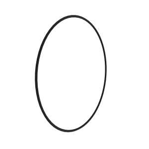 O-Ring