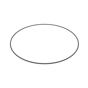 Wheel Seal O-Ring