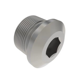 Pipe Plug
