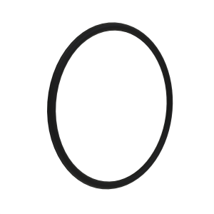 O-Ring