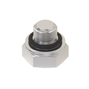 Fitting Plug