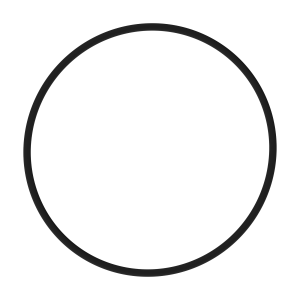 O-Ring