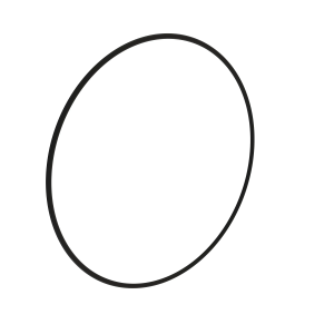 O-Ring