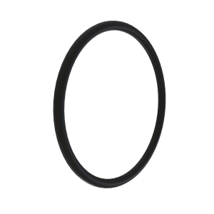 N196034: O-Ring