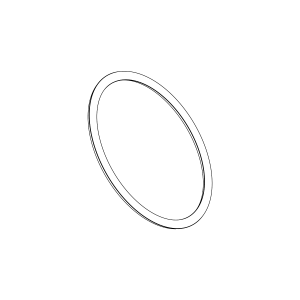 O-Ring
