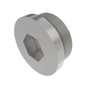 Pipe Plug