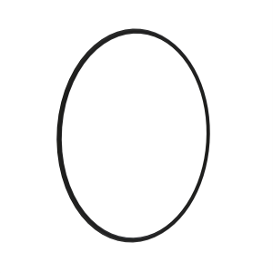 O-Ring