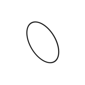 O-Ring