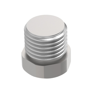 Sight Plug