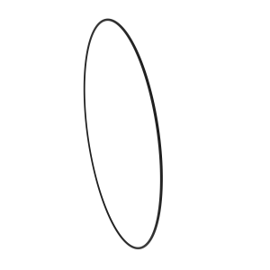 O-Ring