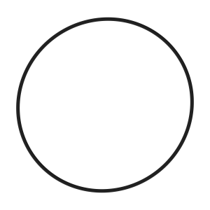 O-Ring
