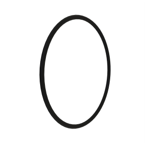 O-Ring