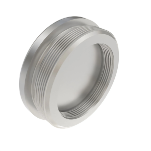 Fitting Plug