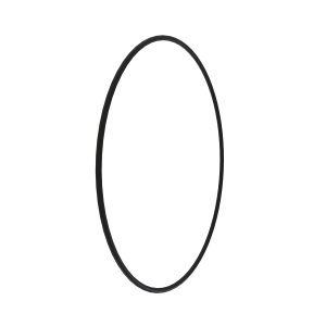 N240662: O-Ring