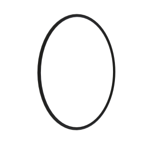O-Ring