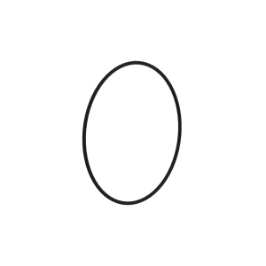 O-Ring
