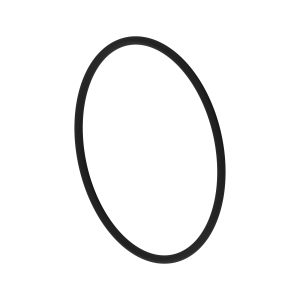 O-Ring