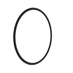 O-Ring