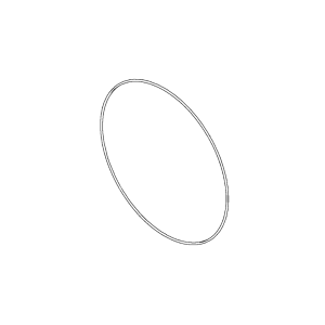 O-Ring