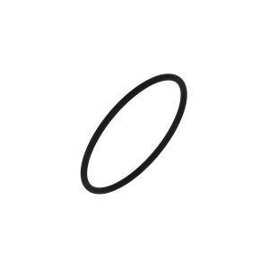O-Ring