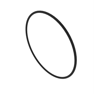 O-Ring