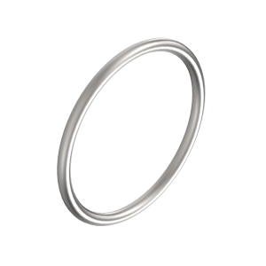 O-Ring