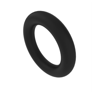 N209938: O-Ring