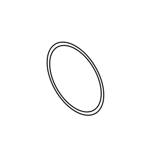 O-Ring