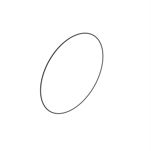 O-Ring