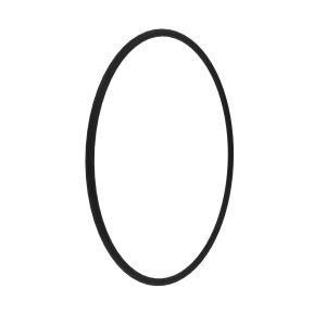 O-Ring