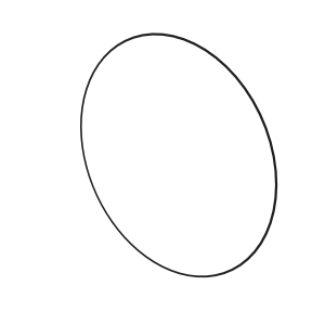 O-Ring