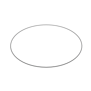O-Ring
