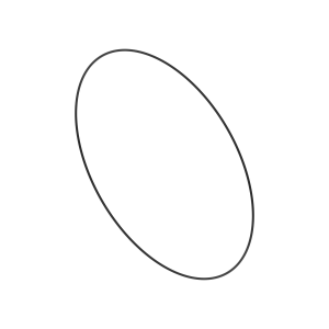 YZ122334: O-Ring