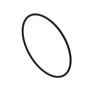 N319870: O-Ring