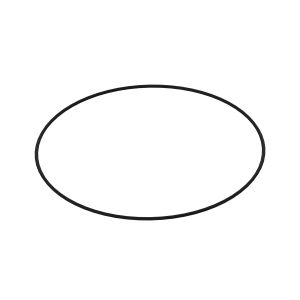 O-Ring