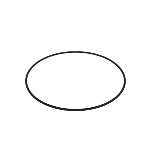 O-Ring