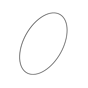 O-Ring