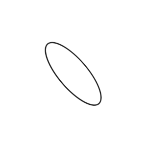 O-Ring