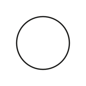 O-Ring