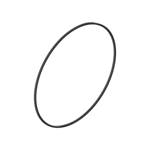 N304330: O-Ring