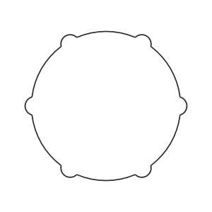 O-Ring