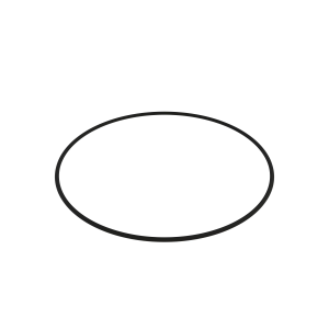 O-Ring