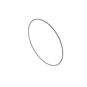 O-Ring