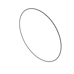 O-Ring