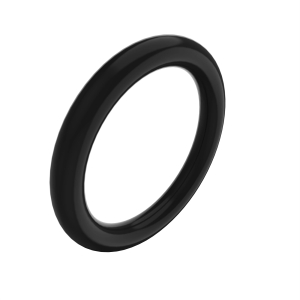 R26286: O-Ring
