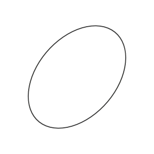 O-Ring