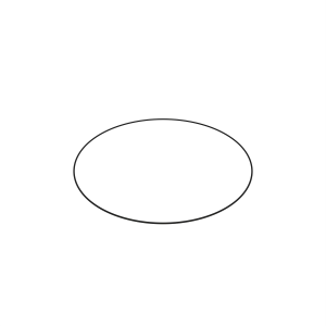 O-Ring